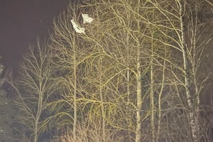 Zabezpieczone przez Straż Graniczną papierosy przemycone do Polski balonami meteorologicznymi