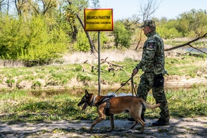 Funkcjonariusze podczas wykonywania czynności służbowych