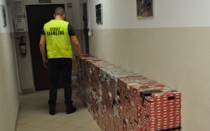 Zabezpieczanie papierosów pochodzących z przemytu.