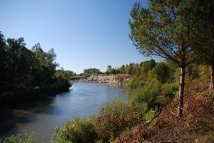 Zatrzymano nielegalnych migrantów