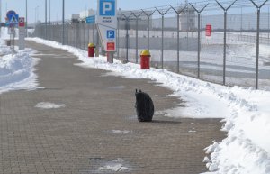 Mandat za pozostawiony bagaż