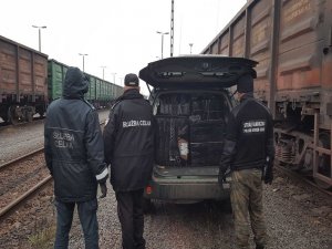 Nielegalna przesyłka ukryta w rudzie żelaza