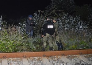 Zatrzymanie poszukiwanych osób