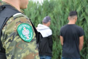 Zatrzymano nielegalnych migrantów