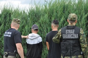 Zatrzymano nielegalnych migrantów