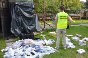 Zabezpieczanie papierosów pochodzących z przemytu.