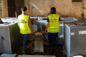 Zlikwidowano nielegalną linię do produkcji papierosów