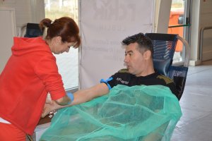 Obchody Narodowego Święta Niepodległości