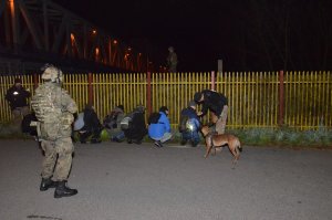 Ćwiczenia „Anakonda – 18” na terenie służbowej odpowiedzialności NOSG