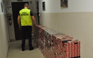 Zabezpieczanie papierosów pochodzących z przemytu.