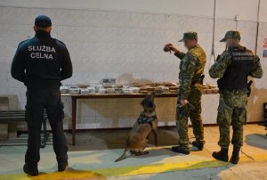Psy służbowe w NOSG. Zatrzymano narkotyki o wartości prawie 30 mln zł