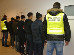 Zatrzymano nielegalnych migrantów