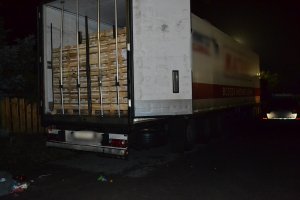 Zatrzymano nielegalnych migrantów