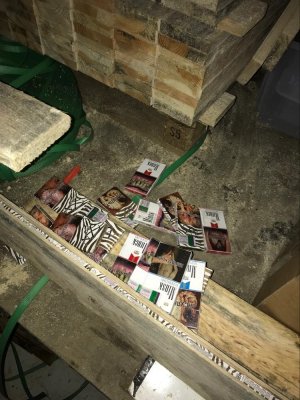 Ujawnili dziuplę z częściami samochodowymi i papierosami