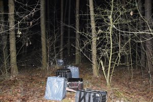 Zabezpieczanie papierosów pochodzących z przemytu.