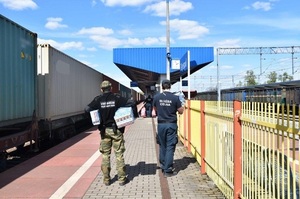 Zabezpieczanie papierosów pochodzących z przemytu