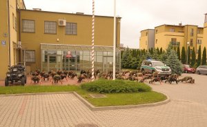 Funkcjonariusze NOSG podjęli wyzwanie #GaszynChallenge