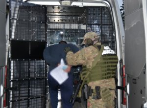 Zatrzymano członków międzynarodowej zorganizowanej grupy przestępczej