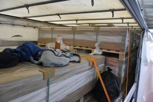 Zatrzymano nielegalnych migrantów