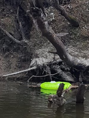 Zatrzymano nielegalnych migrantów