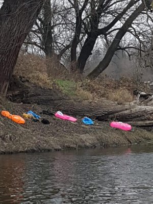 Zatrzymano nielegalnych migrantów