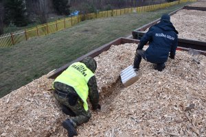 Zabezpieczanie papierosów pochodzących z przemytu