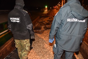 Zabezpieczanie papierosów pochodzących z przemytu
