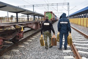 Zabezpieczanie papierosów pochodzących z przemytu