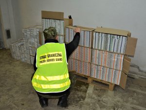 Zatrzymano członków międzynarodowej zorganizowanej grupy przestępczej