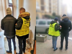 Zatrzymania i likwidacja grupy przestępczej zajmującej się nielegalnym organizowaniem przekraczania granicy z Białorusią