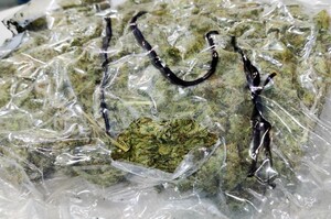 34 kg suszu konopi indyjskich ukrytych w kołach ciężarówki