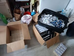 Zabezpieczanie papierosów pochodzących z przemytu przez funkcjonariuszy NOSG i KAS
