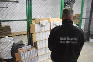 Zabezpieczanie nielegalnych papierosów przez funkcjonariusza NOSG