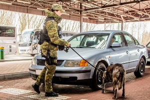 Przewodniczka psa służbowego SG podczas realizacji zadań służbowych związanych z ochroną granicy państwowej