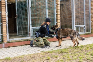 Przewodniczka psa służbowego SG podczas realizacji zadań służbowych związanych z ochroną granicy państwowej