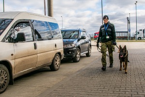 Przewodniczka psa służbowego SG podczas realizacji zadań służbowych związanych z ochroną granicy państwowej