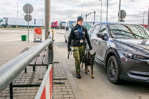 Przewodniczka psa służbowego SG podczas realizacji zadań służbowych związanych z ochroną granicy państwowej