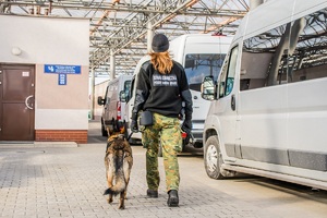 Przewodniczka psa służbowego SG podczas realizacji zadań służbowych związanych z ochroną granicy państwowej