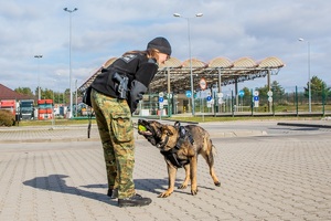 Przewodniczka psa służbowego SG podczas realizacji zadań służbowych związanych z ochroną granicy państwowej