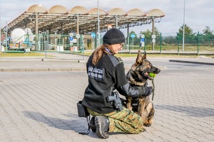 Przewodniczka psa służbowego SG podczas realizacji zadań służbowych związanych z ochroną granicy państwowej