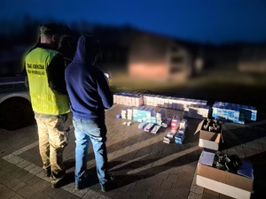 Zabezpieczanie przez Straż Graniczną nielegalnych papierosów i alkoholu