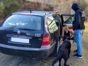 Funkcjonariusz SG z psem służbowym podczas czynności przeszukania