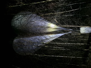 Zabezpieczanie papierosów przemyconych z Białorusi do Polski za pomocą balonu