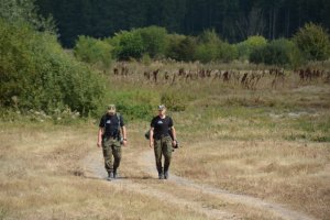 Patrol pieszy Straży Granicznej