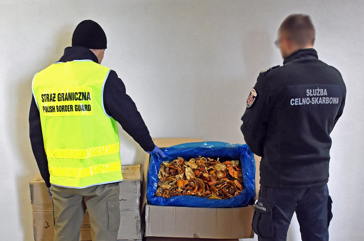 NOSG i KAS zatrzymały ponad 34 kg czerwonych muchomorów z Ukrainy